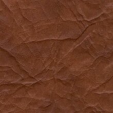 образец 38